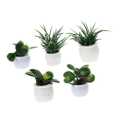 LRXIYODE 5 Stück Puppenhaus Topfpflanze Miniatur Moos Puppenhausgrün Blumendekor Mini -Topf -Miniatur Feenfiguren Mini-topfpflanze Blumenmodell Miniaturen Bonsai-schmuck Mini Bonsai Plastik LRXIYODE 5 Stück Puppenhaus Topfpflanze Miniatur Moos Puppenhausgrün Blumendekor Mini -Topf -Miniatur Feenfiguren Mini-topfpflanze Blumenmodell Miniaturen Bonsai-schmuck Mini Bonsai Plastik von LRXIYODE