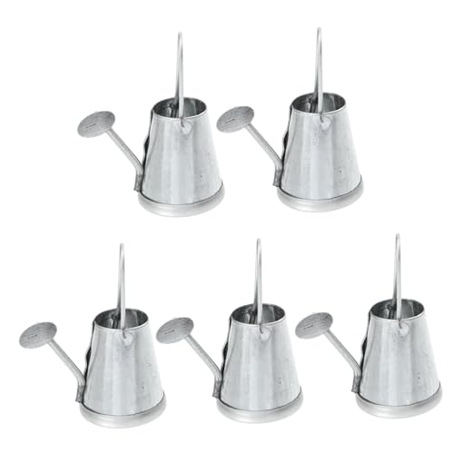 LRXIYODE 5 Stück Wasserkocher Micro Landschaft Miniatur-Gießkanne Anlage klein Pflanzen puppenhauszubehör Mikrolandschaftsmodelle Modell Mini-Gießkanne Mini-Hausbedarf Eisen Silver von LRXIYODE