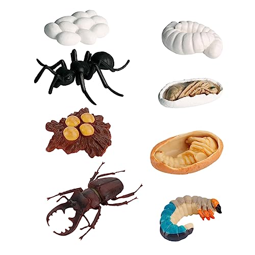 LRXIYODE 8Stücke Teiliges Realistisches Insektenwachstumsmodell Detailreiche Ameisen Darstellung für Kognitive Spielzeuge und Bildungszwecke und Lehrmaterial LRXIYODE 8Stücke Teiliges Realistisches Insektenwachstumsmodell Detailreiche Ameisen Darstellung für Kognitive Spielzeuge und Bildungszwecke und Lehrmaterial von LRXIYODE