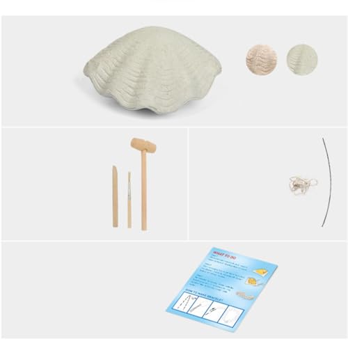 LRXIYODE DIY Perlen Armband Bastelset mit Perlen aus Muscheln Pädagogisches Grabspielzeug Kreativität und Feinmotorik für Mädchen Ab Jahren von LRXIYODE