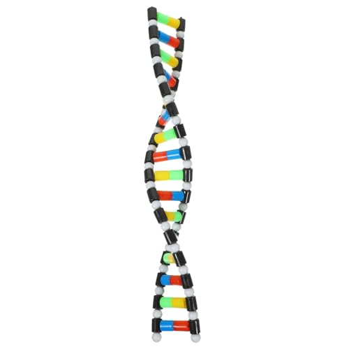 LRXIYODE Doppelhelix DNA Modell Bausatz für Biologieunterricht Wissenschaftliches Molekülmodell für Schüler Lernspielzeug zur Veranschaulichung der von LRXIYODE