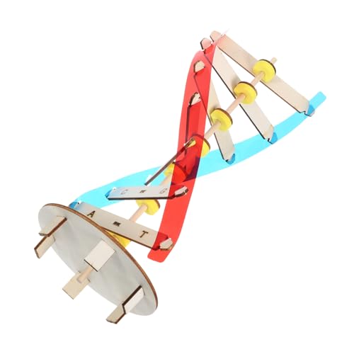 LRXIYODE DNA Modell DIY Bausatz Holzversion Wissenschaftliches Lernspielzeug für Fördert Beobachtung Denkfähigkeit und Neugier Pädagogisches Experiment für Schule und Zuhause von LRXIYODE