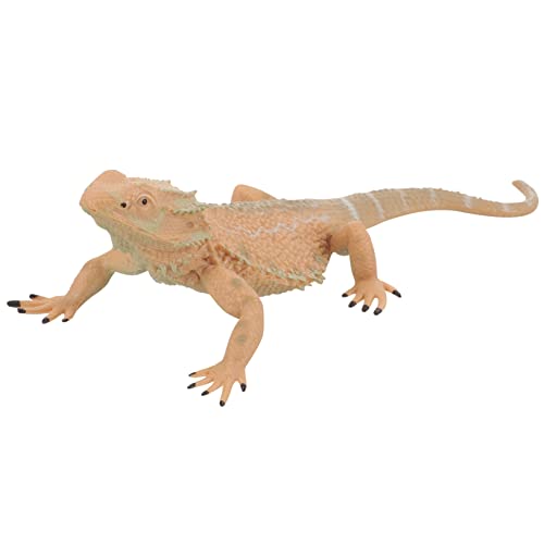 LRXIYODE Echsenmodell aus Kunststoff Realistische Bartagame Figur für Lernspielzeug zur des Tierwissens Langlebig und Leicht für Schule Zuhause und Sammelobjekt LRXIYODE Echsenmodell aus Kunststoff Realistische Bartagame Figur für Lernspielzeug zur des Tierwissens Langlebig und Leicht für Schule Zuhause und Sammelobjekt von LRXIYODE
