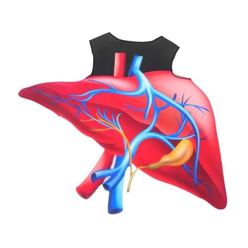 LRXIYODE Halloween Herz Kostüm Realistisches Biologie Outfit Leichtes Schwamm Material Weiches Cosplay Kostüm Für Bühne Party Rollenspiel Valentinstag Liebe Thema von LRXIYODE