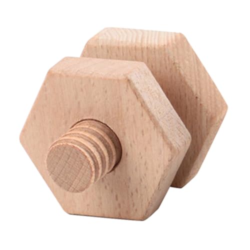LRXIYODE Holz schraubbaukasten Geometrische Formen Montessori Holzbauklötze Pädagogisches Lernspielzeug Fördert Feinmotorik und Denkvermögen für Kleinkinder Ab Jahren von LRXIYODE
