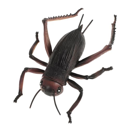 LRXIYODE Insektenmodell Cricket Figuren Exquisite Cricket Statue Cricket Schmuck Cricket Modell Ornament Große Cricket Ornamente Desktop Cricket Ornament Lernstütze Dunkelbraunes PVC LRXIYODE Insektenmodell Cricket Figuren Exquisite Cricket Statue Cricket Schmuck Cricket Modell Ornament Große Cricket Ornamente Desktop Cricket Ornament Lernstütze Dunkelbraunes PVC von LRXIYODE
