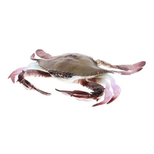 LRXIYODE Krebsfigur Realistische Meereslebewesen Dekoration für Bildung und Rollenspiel PVC Krabbenmodell für Aquarien Lernspielzeug LRXIYODE Krebsfigur Realistische Meereslebewesen Dekoration für Bildung und Rollenspiel PVC Krabbenmodell für Aquarien Lernspielzeug von LRXIYODE