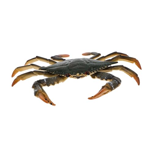 LRXIYODE Lernspielzeug Modell Krabbe Realistische Tierfigur Pädagogisches Fördert Vorstellungskraft und Kognitive Fähigkeiten Robust und Sicher für Kreatives LRXIYODE Lernspielzeug Modell Krabbe Realistische Tierfigur Pädagogisches Fördert Vorstellungskraft und Kognitive Fähigkeiten Robust und Sicher für Kreatives von LRXIYODE