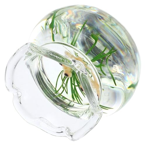LRXIYODE Miniatur Fischglas Aquarium aus Resin Stabiles Miniatur Goldfischbecken Kleine Dekoration für Puppenhaus Geeignet für Bastelprojekte und Geschenkbeutel von LRXIYODE