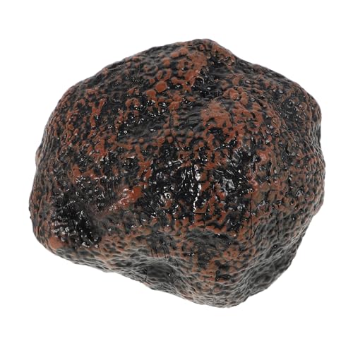 LRXIYODE Modell Mit Schwarzem Trüffel Simulationsspielzeug Für Mini-simulationsspielzeug Für Die Küche Küchenspielzeug Vortäuschen Spielzeugküchenzubehör Kinderzubehör Plastik Black von LRXIYODE