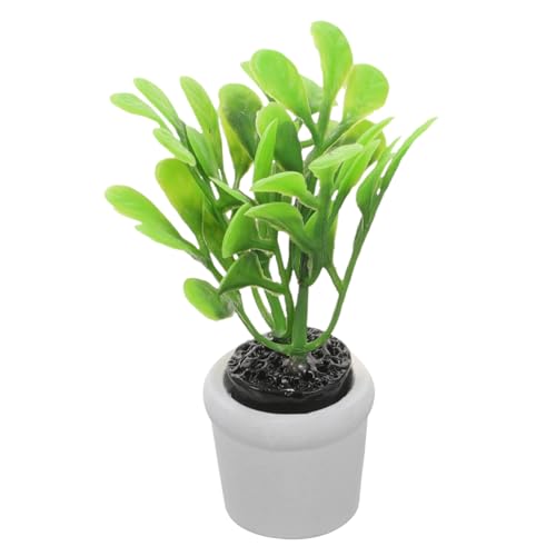 LRXIYODE Puppenhaus kleine grüne Pflanzen Schreibtisch süßes Kleine künstliche Pflanzen Büro microanlagen Micro Plants Herzstück Tischdekoration Mittelstücke für Tische Plastik LRXIYODE Puppenhaus kleine grüne Pflanzen Schreibtisch süßes Kleine künstliche Pflanzen Büro microanlagen Micro Plants Herzstück Tischdekoration Mittelstücke für Tische Plastik von LRXIYODE