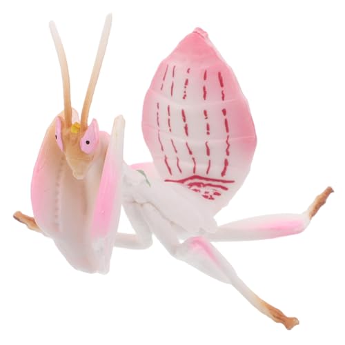 LRXIYODE Realistische Mantis -Figur -Fehler -Figuren Desktop Zeigen Kunststoffinsektenmodelle An von LRXIYODE