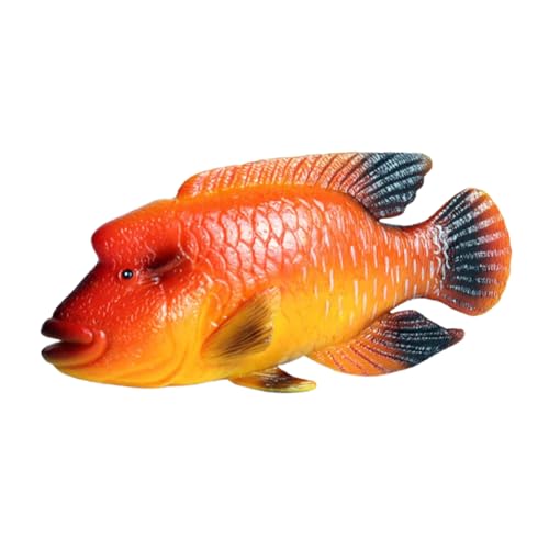 LRXIYODE Realistisches Plastik Fischmodell Humphead Wrasse Ornamente Detailgetreue Meerestier Dekoration für Aquarium Garten und Robustes Kunststoffspielzeug für Naturerlebnis LRXIYODE Realistisches Plastik Fischmodell Humphead Wrasse Ornamente Detailgetreue Meerestier Dekoration für Aquarium Garten und Robustes Kunststoffspielzeug für Naturerlebnis von LRXIYODE