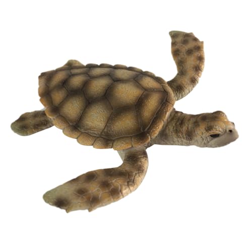 LRXIYODE Realistisches Schildkrötenmodell aus PVC Pädagogisches Meerestiere Naturgetreue Tierfigur zur Dekoration und Sammelobjekt Fördert Vorstellungskraft und Farberkennung LRXIYODE Realistisches Schildkrötenmodell aus PVC Pädagogisches Meerestiere Naturgetreue Tierfigur zur Dekoration und Sammelobjekt Fördert Vorstellungskraft und Farberkennung von LRXIYODE