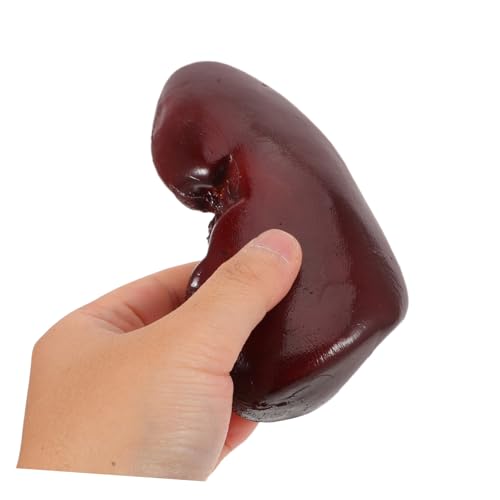 LRXIYODE Realistisches Schweine-nieren-prankspielzeug Halloween Deko Gruselige Cosplay Requisite Für Puppenhaus Theater Requisit Und Spaßige Halloween Streiche LRXIYODE Realistisches Schweine-nieren-prankspielzeug Halloween Deko Gruselige Cosplay Requisite Für Puppenhaus Theater Requisit Und Spaßige Halloween Streiche von LRXIYODE