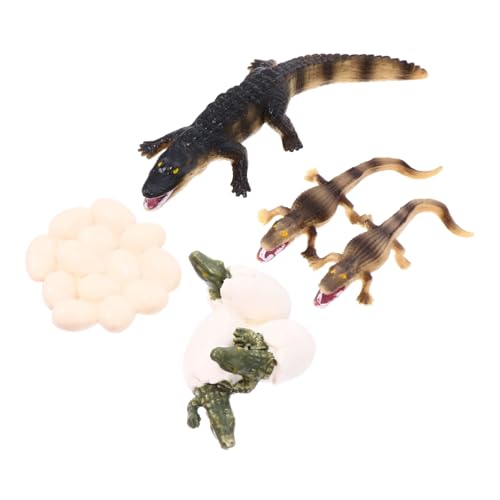 LRXIYODE Realistisches Tier mit Krokodil Lebenszyklus Pädagogisch Fördert Wissen und Fantasie als Foto Requisite und Lernspielzeug von LRXIYODE