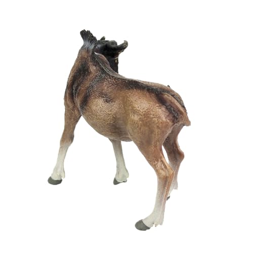 LRXIYODE Simulation Decor Vivid Figurine Early Educational Toy für Realistische Tier Dekoration für Zuhause Büro Hochwertige Verarbeitung Kreatives Lernspielzeug von LRXIYODE