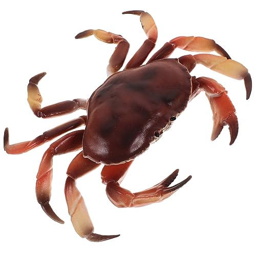 LRXIYODE Simuliertes Krabbenmodell aus Kunststoff Lebensechtes Tiermodell für Dekoration und Lernspielzeug für Kinderzimmer und Garten Realistische Krabbenfigur für Pädagogische LRXIYODE Simuliertes Krabbenmodell aus Kunststoff Lebensechtes Tiermodell für Dekoration und Lernspielzeug für Kinderzimmer und Garten Realistische Krabbenfigur für Pädagogische von LRXIYODE