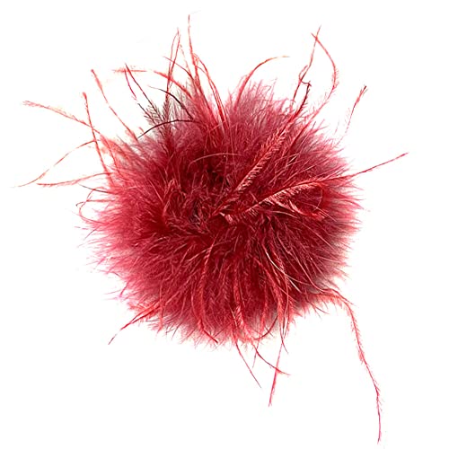 LSGGTIM Damen Federbrosche Natürliche Straußenfeder Brosche Ansteckbrosche Vintage Federbrosche Elegante Straußenfeder Fascinators Kostüme Brosche Blumenbroschen Pins für Hochzeit Party Festival LSGGTIM Damen Federbrosche Natürliche Straußenfeder Brosche Ansteckbrosche Vintage Federbrosche Elegante Straußenfeder Fascinators Kostüme Brosche Blumenbroschen Pins für Hochzeit Party Festival von LSGGTIM