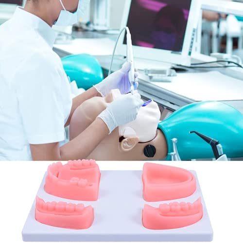 LSOAARRT 4pcs Oral Suture Training Model Silicone Dental Suture Pad Kit for Hospital Students Vets Practicing Suturing and Implants on Soft Gum Teeth Pink von LSOAARRT