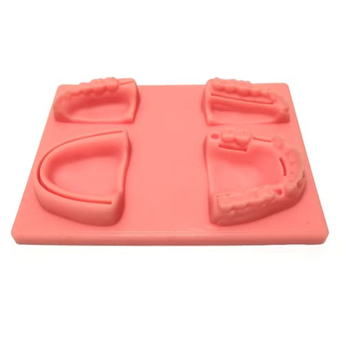 LSOAARRT Dental Suture Practice Kit Suture Practice Kit Studenten und Veterinary Student Suturing Pad, Training Kit LSOAARRT Dental Suture Practice Kit Suture Practice Kit Studenten und Veterinary Student Suturing Pad, Training Kit von LSOAARRT