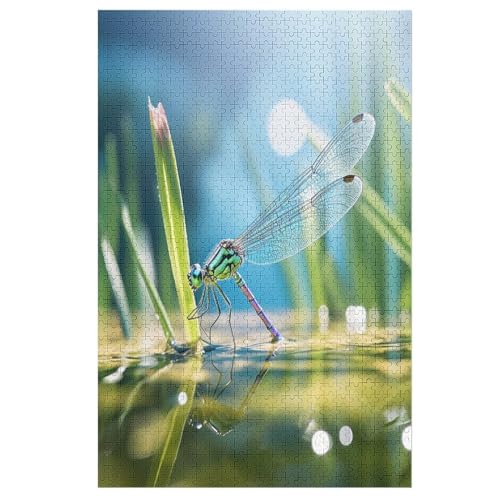 1000-teiliges Puzzles, Drachenfly -Puzzle Für Erwachsene Kinder,Holzbrettpuzzle,Erwachsenenpuzzles,Geschenke 78×53cm 1000-teiliges Puzzles, Drachenfly -Puzzle Für Erwachsene Kinder,Holzbrettpuzzle,Erwachsenenpuzzles,Geschenke 78×53cm von LTTTT