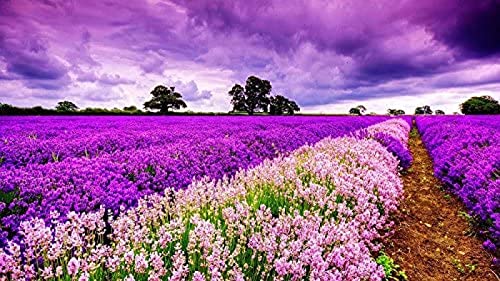 2000 Teile Lila Himmel Provence Lavendel Blume Meeresblumen Feld Abenddämmerung Sonnenuntergang Landschaft Erwachsene Spiele Papierartiges Ölgemälde Bodenpuzzle 70x100CM von LUAJZF