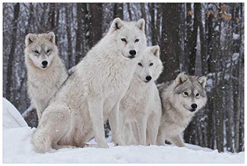 Puzzle für Erwachsene, 1000 Teile, 4 Wölfe im schweren Schnee, 50 x 70 cm von LUAJZF