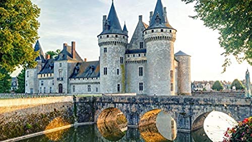 Puzzle für Erwachsene, Papierpuzzle, klassisches Puzzle, Schloss De Sully Sur Loire, Frankreich, Reisetourismus, 1000 Teile, 50 x 70 cm von LUAJZF