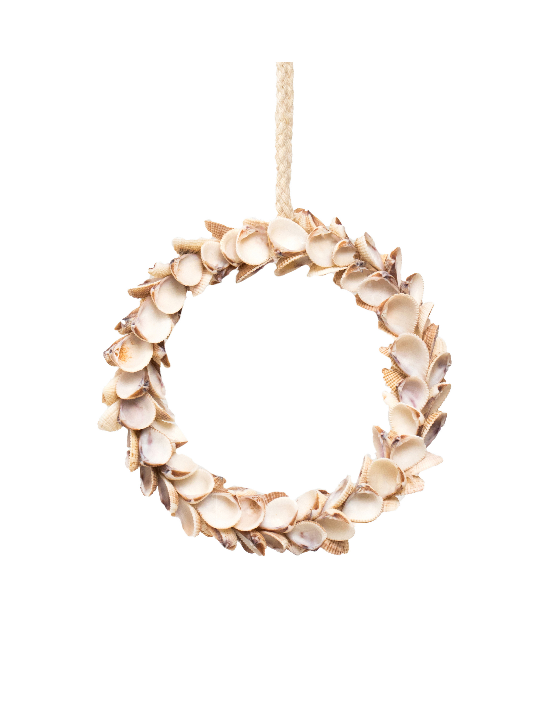 Muschelkranz Weiß Hängend 12 cm Muschelkranz Weiß Hängend 12 cm von HOGEWONING BV