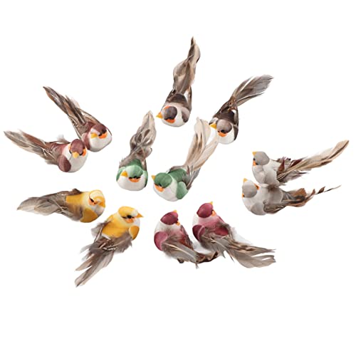 LUCKDANO Gefälschte Vögel, Vogelschmuck Dekorative Vögel Künstliche Vogeldekor mit Clamp/Holder -Fixing 12PCS Simulation Schaum Vogel für Handwerk Hochzeitsdekoration Hausgarten Party Accessoires LUCKDANO Gefälschte Vögel, Vogelschmuck Dekorative Vögel Künstliche Vogeldekor mit Clamp/Holder -Fixing 12PCS Simulation Schaum Vogel für Handwerk Hochzeitsdekoration Hausgarten Party Accessoires von LUCKDANO