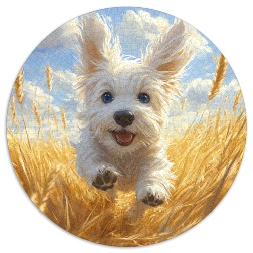 Malteser-Hund, 1000 Teile, kreisförmiges Puzzle, Tier, kreative Puzzle, Erwachsene und Kinder, einzigartige Herausforderungsspiele, 1000 Teile (67,5 x 67,5 cm) von LUSDNUREN
