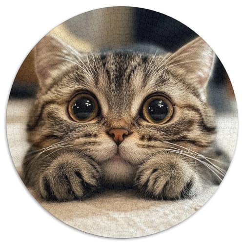 Niedliche Katze, 1000 Teile, rundes Puzzle, Tier, kreatives Puzzle, Erwachsene und Kinder, anspruchsvolle und pädagogische Kunst, 1000 Teile (67,5 x 67,5 cm) von LUSDNUREN