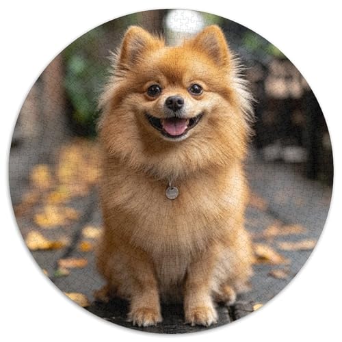 Pomeranian 1000 Teile Kreispuzzle, Tiere, kreative Puzzle, Erwachsene und Kinder, schwierig, herausfordernd, 1000 Teile (67,5 x 67,5 cm) von LUSDNUREN