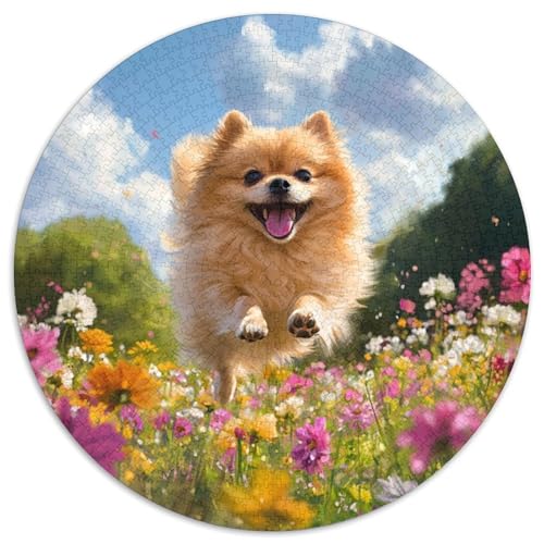 Pomeranian 1000 Teile rundes Puzzle Tier, kreatives Puzzle, für Erwachsene und Kinder, anspruchsvolle und pädagogische Kunst, 1000 Teile (67,5 x 67,5 cm) von LUSDNUREN