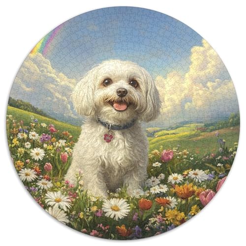 Shih Tzu 1000 Teile Kreispuzzle, Tier, Kreative Puzzles, Erwachsene und Kinder, schwierige Puzzles, 1000 Teile (67,5 x 67,5 cm) von LUSDNUREN