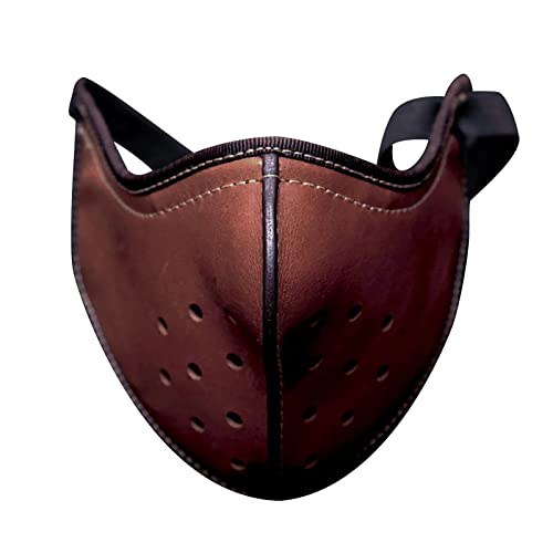 LVUNZJCA Steampunk-Maske Punk-PU-Ledermaske for erwachsene Motorrad-Biker-Halbgesichtsmaske für Cosplay-Party(Braun) von LVUNZJCA