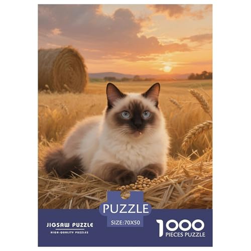 Exotic ShorthairJigsaw Puzzles for Adults 1000pcs Age 12+ for Adults Educational Games Home Beautiful Decoration Birthday Gifts70x50cm/1000pcs von LWBDSKCZO