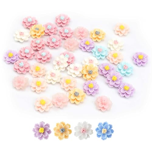 LWLWA Tortendeko Blumen 40 Stück, Dreidimensional Doppelschicht Kuchen Deko Blumen, Harz Blumen Torten Dekoration, Kleine Harzblumen Frisch Natürlich für Hochzeit Kuchen Partydekoration LWLWA Tortendeko Blumen 40 Stück, Dreidimensional Doppelschicht Kuchen Deko Blumen, Harz Blumen Torten Dekoration, Kleine Harzblumen Frisch Natürlich für Hochzeit Kuchen Partydekoration von LWLWA