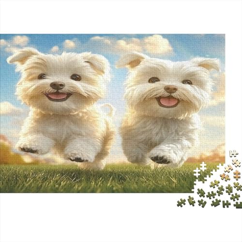 West Highland White Terrier 1000 Stück Puzzles Für Erwachsene Teenager Stress Abbauen Familien-Puzzlespiel 1000-teiliges Puzzle Kinder Lernspiel Spielzeug Geschenk Puzzel 1000pcs (75x50cm) von LWXEEOAVE