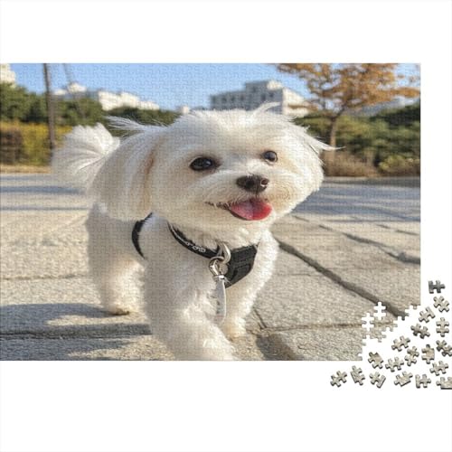 West Highland White Terrier Puzzlespiel 1000 Teile Erwachsene -Puzzle 1000 Stück Spiel Puzzles Für Erwachsene Kinder Puzzle Erwachsenen Puzzlespiel Puzzel 1000pcs (75x50cm) von LWXEEOAVE