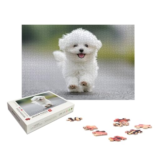 Personalisiertes Puzzle 2000 Teile mit Eigenem Foto, Personalisiertes Puzzle für Erwachsene, Gestalte Selbst Holzpuzzle Erwachsene mit Bild, Fotopuzzle mit Geschenkbox, für Geschenke, Wanddeko, X-353 von LXingzun