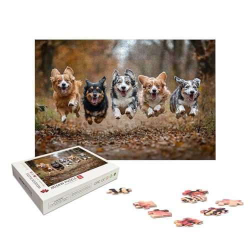 Personalisiertes Puzzle 3000 Teile mit Eigenem Foto, Personalisiertes Puzzle für Erwachsene, Gestalte Selbst Holzpuzzle Erwachsene mit Bild, Fotopuzzle mit Geschenkbox, für Geschenke, Wanddeko, X-536 Personalisiertes Puzzle 3000 Teile mit Eigenem Foto, Personalisiertes Puzzle für Erwachsene, Gestalte Selbst Holzpuzzle Erwachsene mit Bild, Fotopuzzle mit Geschenkbox, für Geschenke, Wanddeko, X-536 von LXingzun
