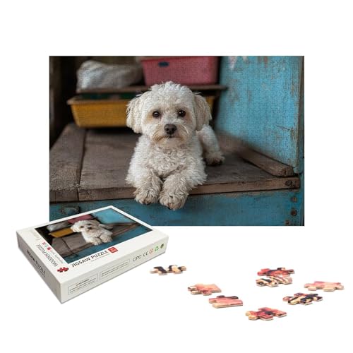 Personalisiertes Puzzle mit Eigenem Foto, Personalisiert Puzzle 1000/1500/2000/3000/4000/5000 Teile Erwachsene, Gestalte Selbst Holzpuzzle mit Bild, Holzpuzzle für Geschenke, Weihnachten, Deko, X-1353 Personalisiertes Puzzle mit Eigenem Foto, Personalisiert Puzzle 1000/1500/2000/3000/4000/5000 Teile Erwachsene, Gestalte Selbst Holzpuzzle mit Bild, Holzpuzzle für Geschenke, Weihnachten, Deko, X-1353 von LXingzun