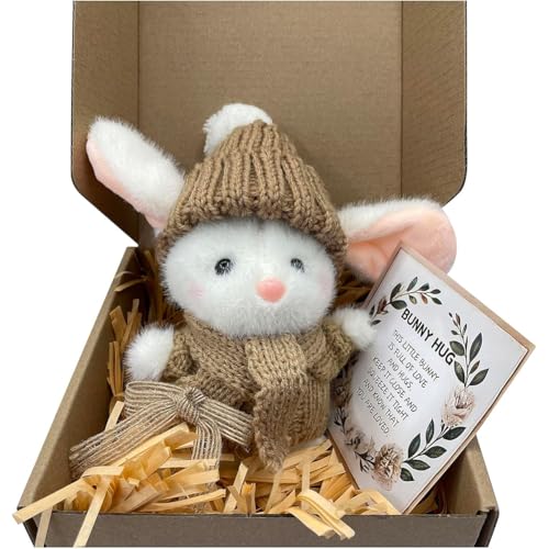 LYEAA 4 Farben Mini-Hase Umarmung Niedliches for Oster Geschenk, Handgemachter Plüsch Taschen-Hase, Emotionaler Unterstützungs-Crochet Hase for Familie und Freunde von LYEAA