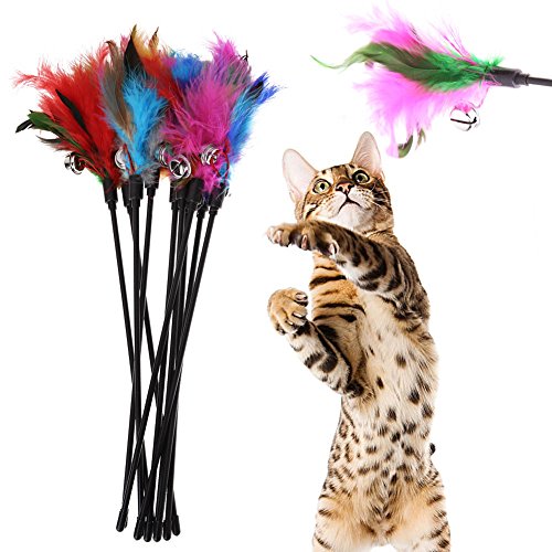 LYEAA Katzenspielzeug mit einziehbarem Federstab, mit Glöckchen, 5 Stück, Bunte Federn, Kurze Stange, interaktives Stab, Glocke, Kätzchenspielzeug for Kätzchen, Katzen, Spaß beim Trainieren LYEAA Katzenspielzeug mit einziehbarem Federstab, mit Glöckchen, 5 Stück, Bunte Federn, Kurze Stange, interaktives Stab, Glocke, Kätzchenspielzeug for Kätzchen, Katzen, Spaß beim Trainieren von LYEAA