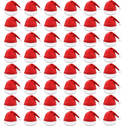 48 Stück Weihnachtsmützen Erwachsene,Familien Nikolausmützen,Universal Fit große weihnachtsmütze,passen perfekt zu den Kostümen des Weihnachtsmanns, ideal für Familien, Betriebs und Schulklassefeiern von LYFETC