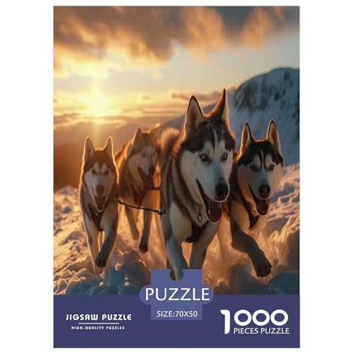 Alaskan Malamute Hund Puzzle 1000-teilige Schwer Puzzle Spielzeug Lernspiel Impossible Herausforderungsspielzeug Für Erwachsene Und Kinder in Bewährter 70x50cm/1000pcs von LYJSMDAAA