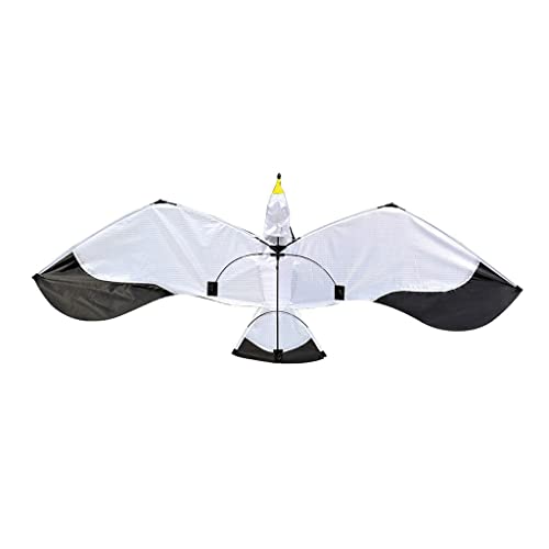 LYVQZPWLRDer Drache, Großer Drachen Drachen Kreative Tier Möwe Mit Schwanz Großer Drachen Geeignet von LYVQZPWLR