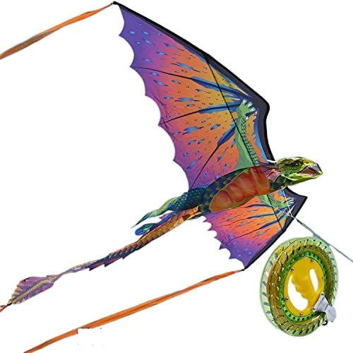 LYVQZPWLRDer Drache, Großer Drachen Drachen for Kinder und Erwachsene Großer Drachen in Tierkopfform Geeignet(C) von LYVQZPWLR